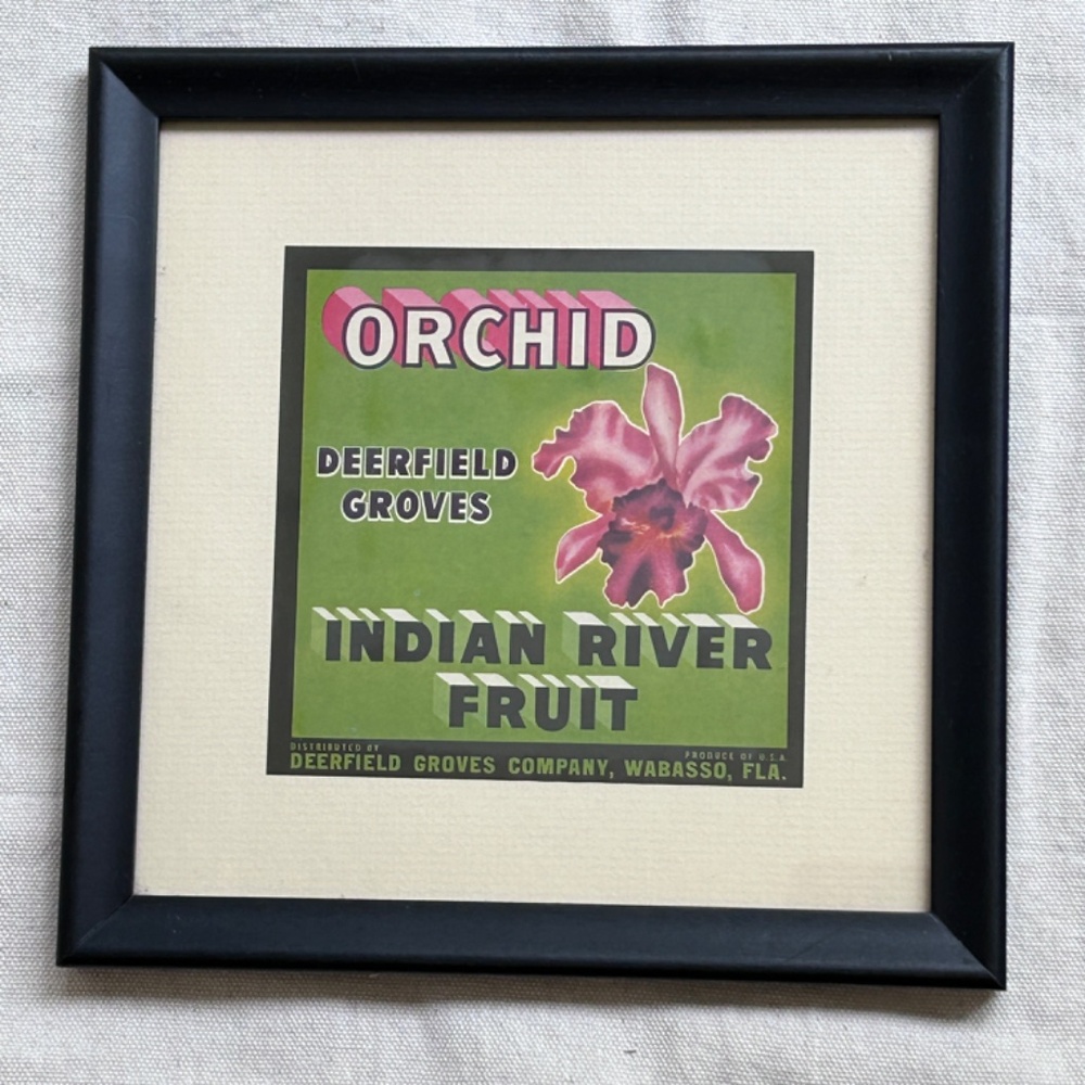 Vintage Orchid Deerfield Groves Framed Print